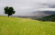 Paysage Berbère
