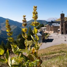 Notre Dame de la Salette