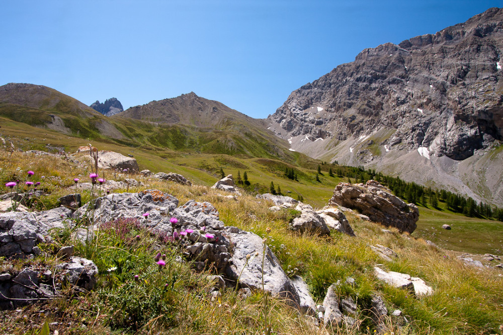 Vallon de Plate Lombarde