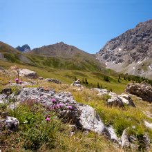 Vallon de Plate Lombarde