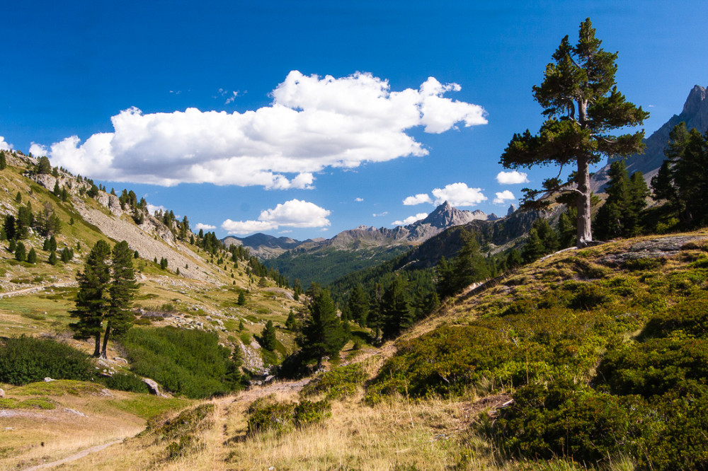 Vallée de la Clarée