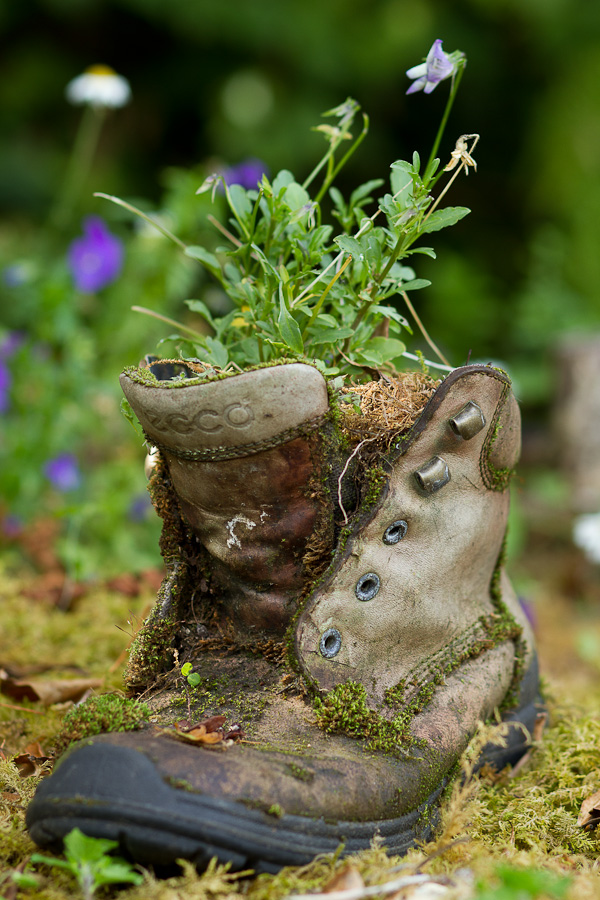 Shoe in the Burren