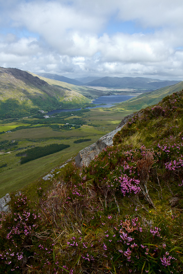 Diamond Hill I