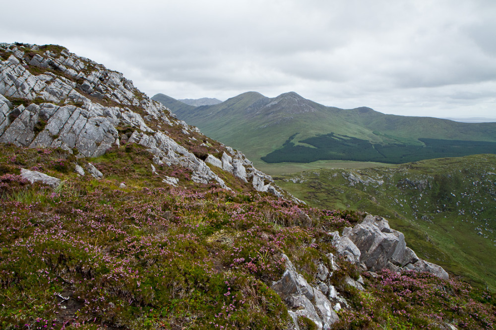 Diamond Hill II
