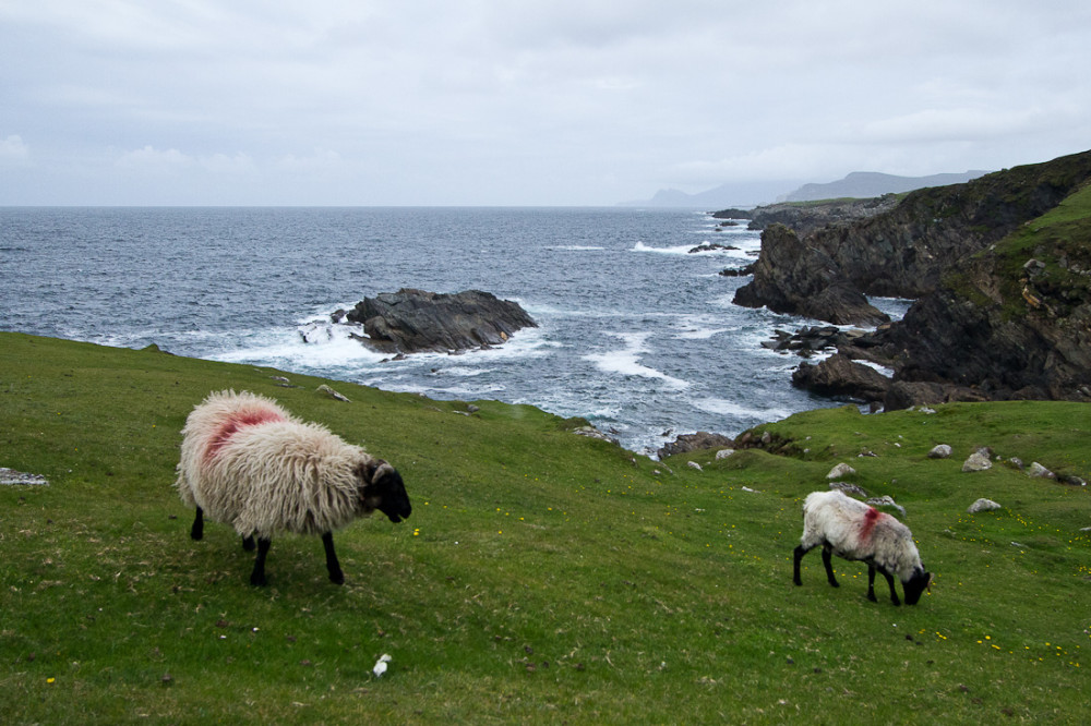 Atlantic Drive
