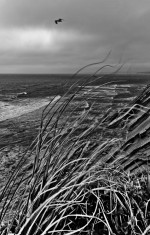 Corniche Basque I