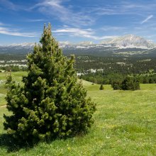 Panorama sur les hauts plateaux