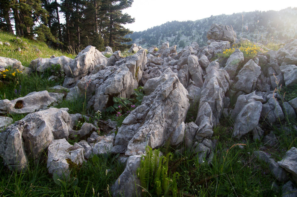 Lumière rasante sur les Lapiaz