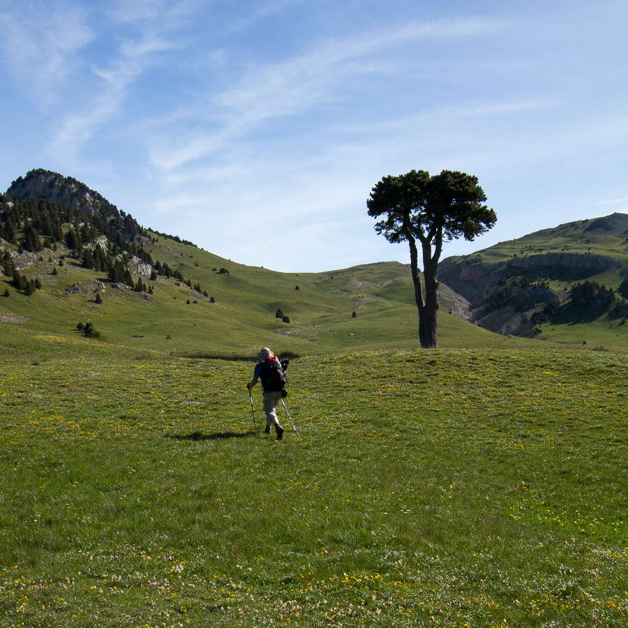 Plaine de la Queyrie