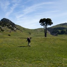 Plaine de la Queyrie