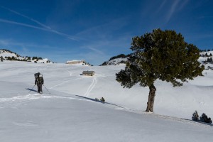 Cabane de l'Essaure