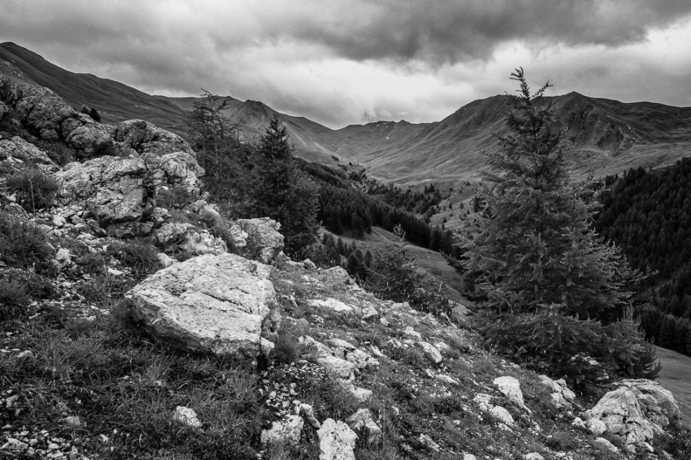 Vallon du Crachet II