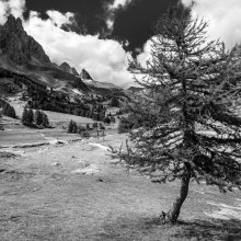 Vallée de la Clarée II