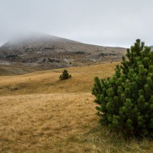 La Montagnette depuis Pré Mouret