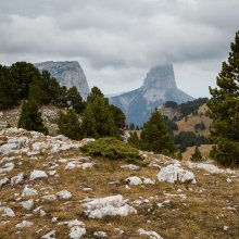 Pas de l'Aiguille II