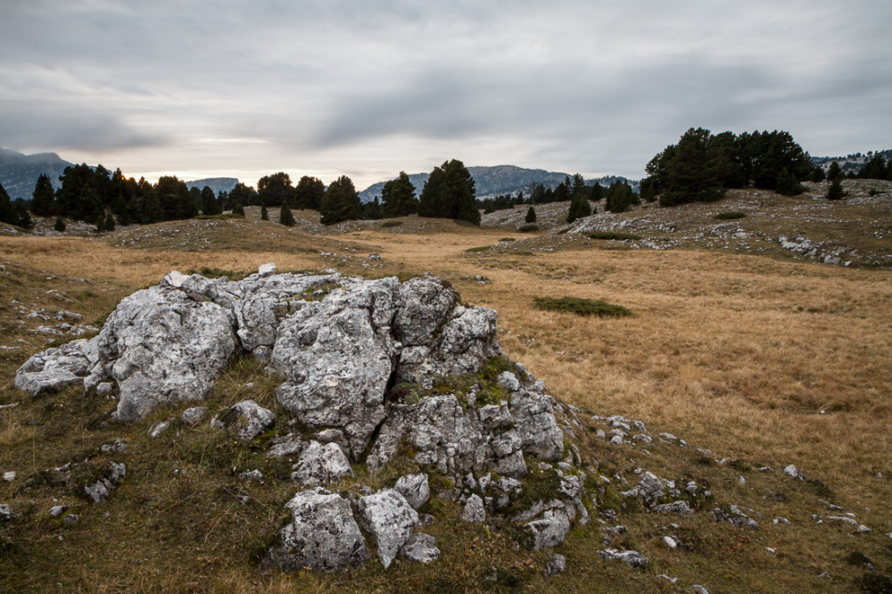 Plaine de la Longue Fissole