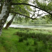 Loch Awe