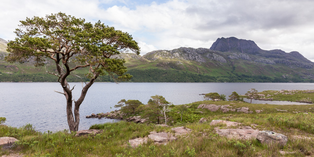 Loch Maree