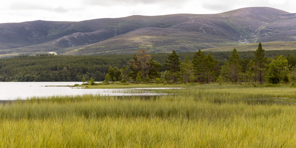 Loch Morlich