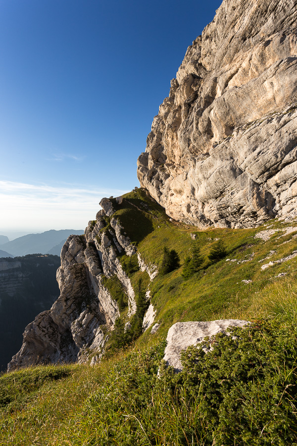 Sangle de Barrère II