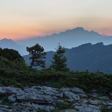Lever de soleil brumeux