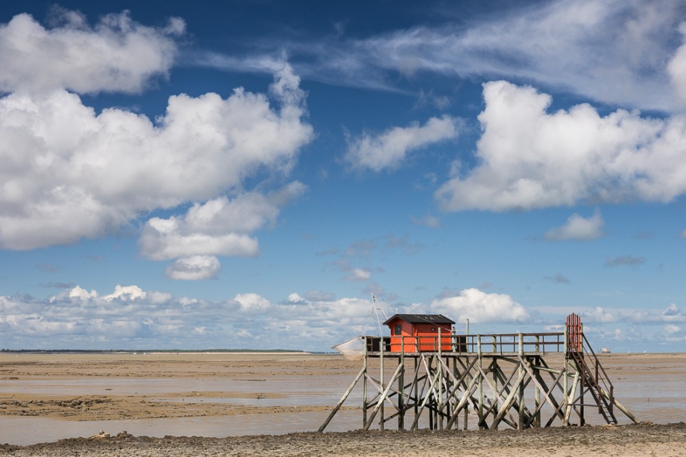 Pêche au carrelet III