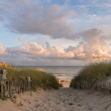 Entre les dunes II