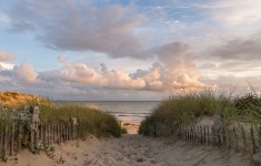 Entre les dunes II