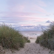 Entre les dunes III