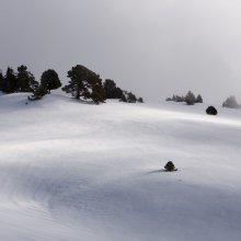 Lumières rasantes sur les crêtes du Parquet