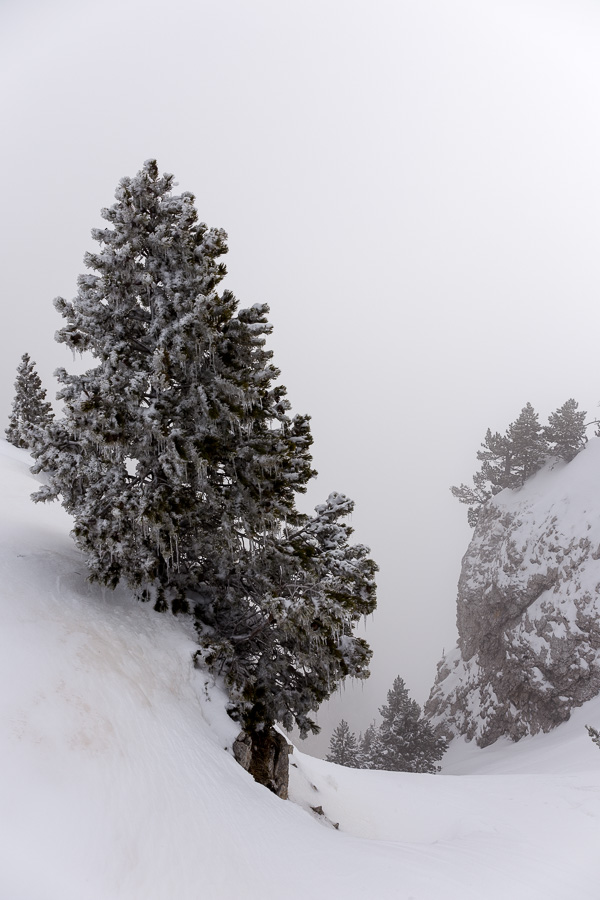 Le brouillard gâche le point de vue