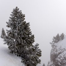 Le brouillard gâche le point de vue