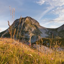Le Grand Veymont II