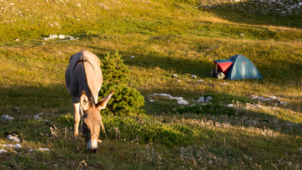 Bivouac