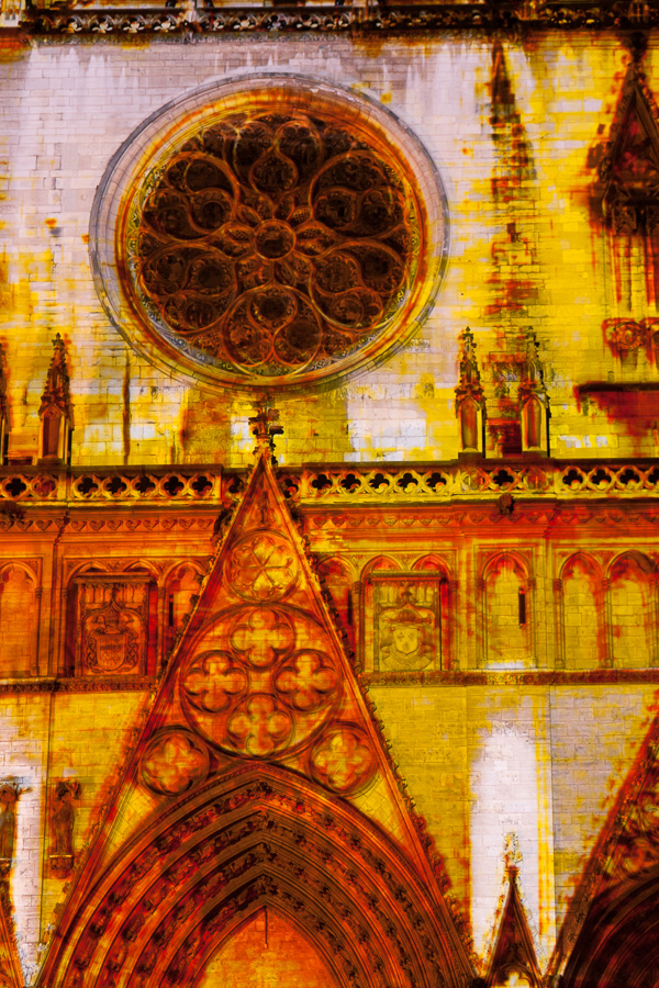 Cathédrale Saint-Jean / 2009