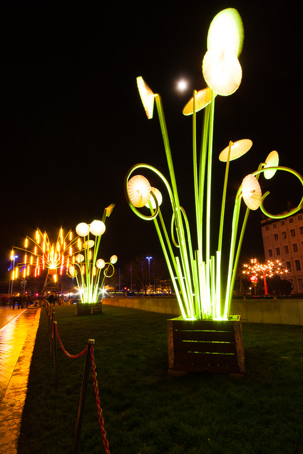Place Louis Pradel / 2009