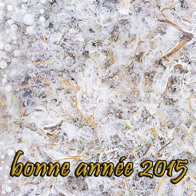 2015