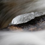 img_4615