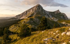 img_9766