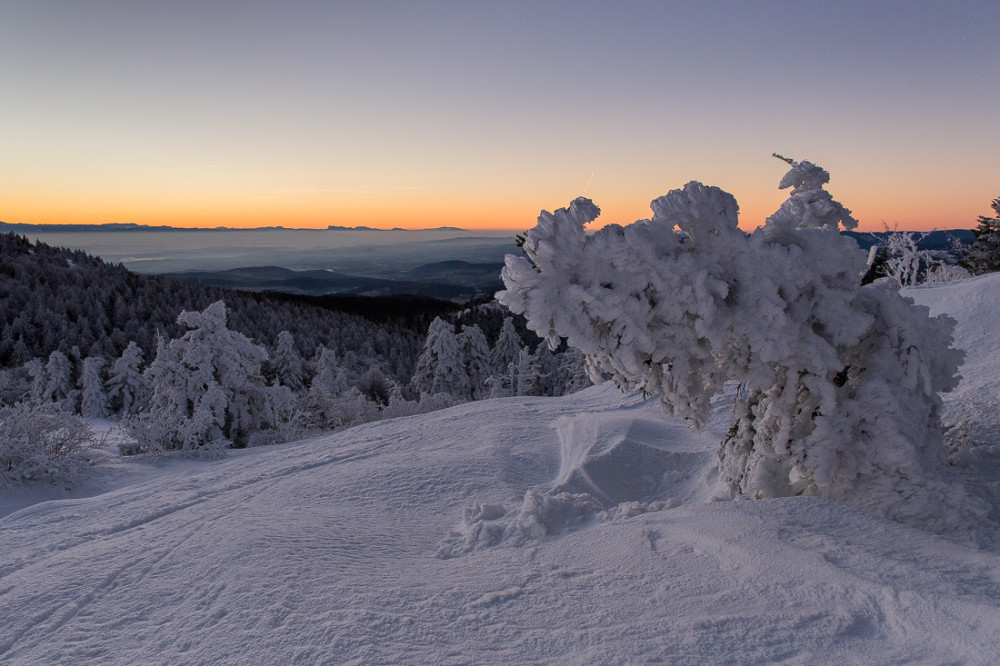 Lever de soleil au Crêt de la Perdrix IV